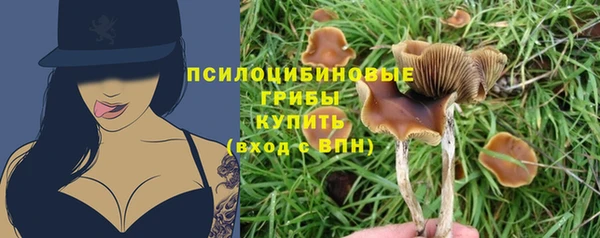 гидра Беломорск
